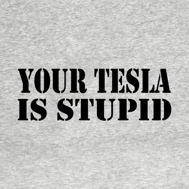 Your Tesla is Stupid... by You Said It!